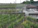CIMG0684