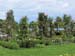 CIMG0338