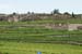 DSC01429