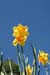 DSC00058