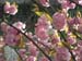 CIMG0225
