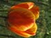 CIMG0226