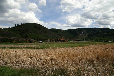 PICT2758